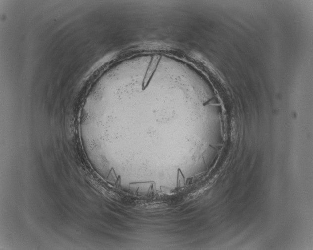 X0000080701213200701050936