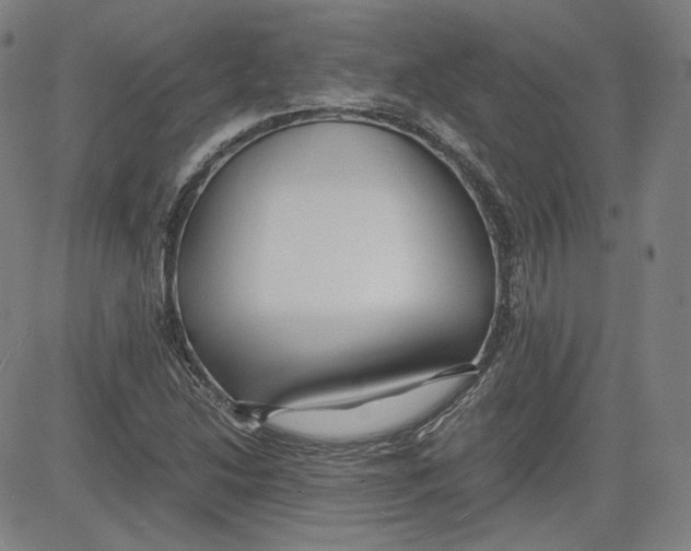 X0000080701214200701050936