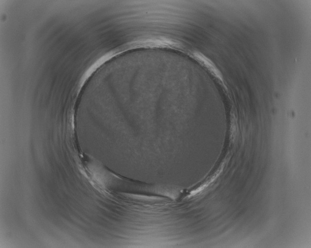 X0000080701226200701050936