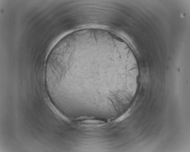X0000080701244200701050937