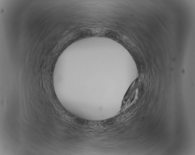 X0000080701249200701050936