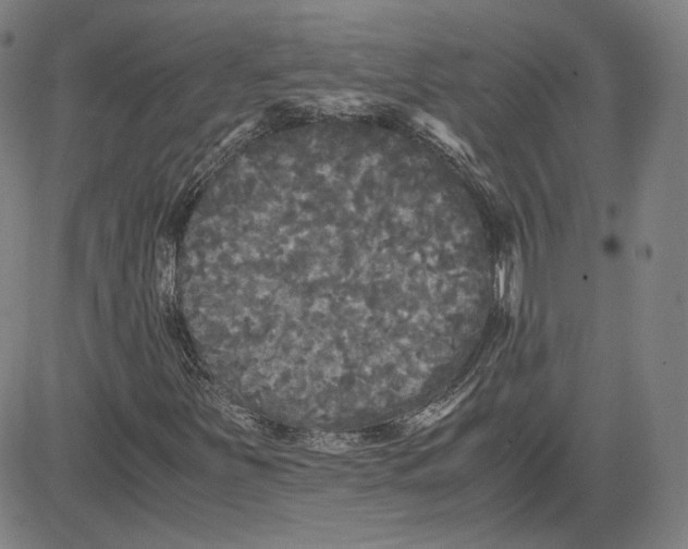 X0000080701251200701050936