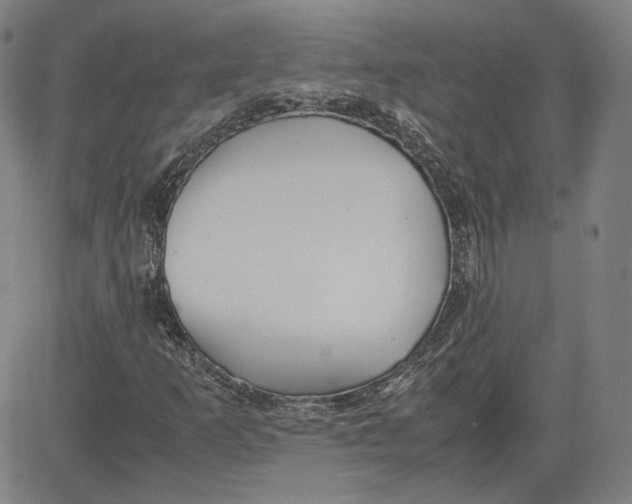 X0000080701253200701050936