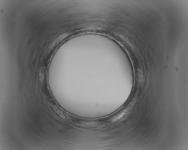 X0000080701257200701050936