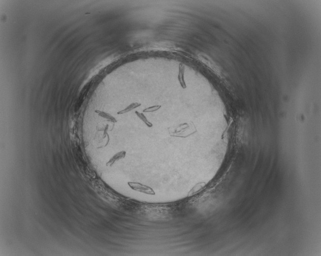 X0000080701258200701050936