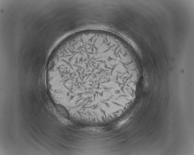 X0000080701272200701050936