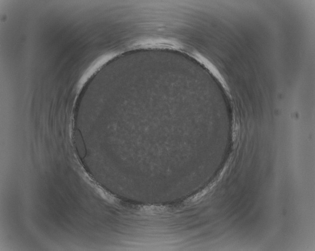 X0000080701277200701050935