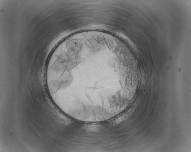 X0000080701278200701050935