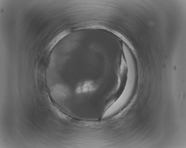 X0000080701289200701050935