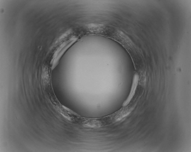 X0000080701298200701050934