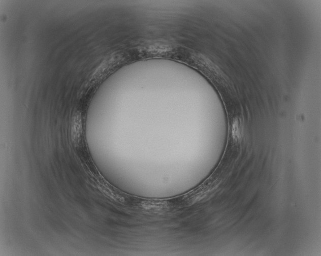 X0000080701299200701050934