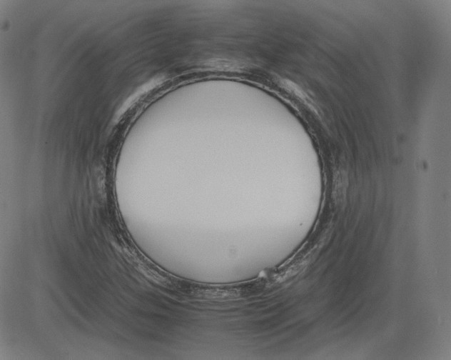 X0000080701307200701050935