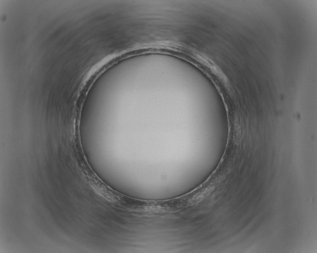 X0000080701316200701050935
