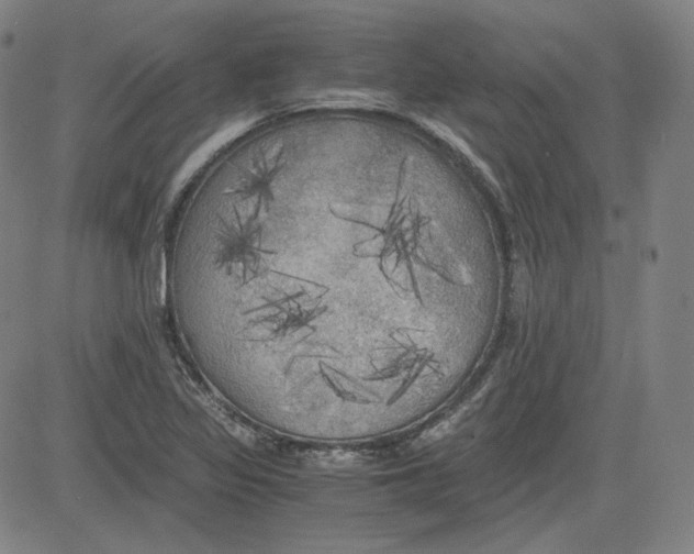 X0000080701317200701050935