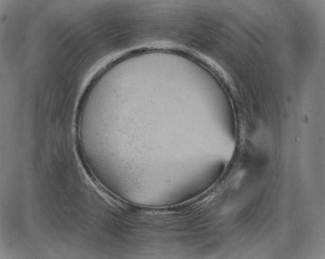 X0000080701327200701050935