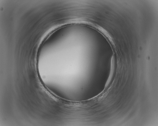 X0000080701334200701050935
