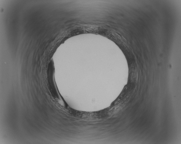 X0000080701345200701050934