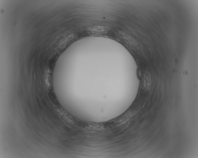 X0000080701346200701050934