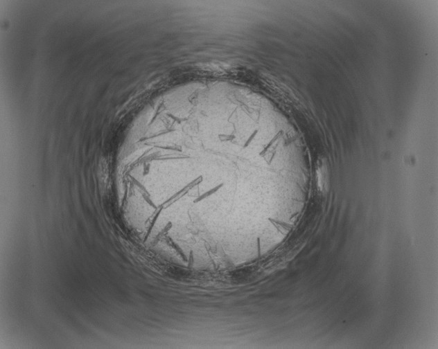 X0000080701347200701050934