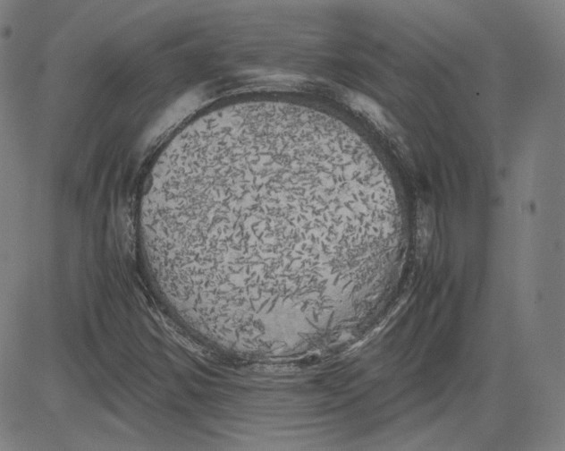 X0000080701354200701050934
