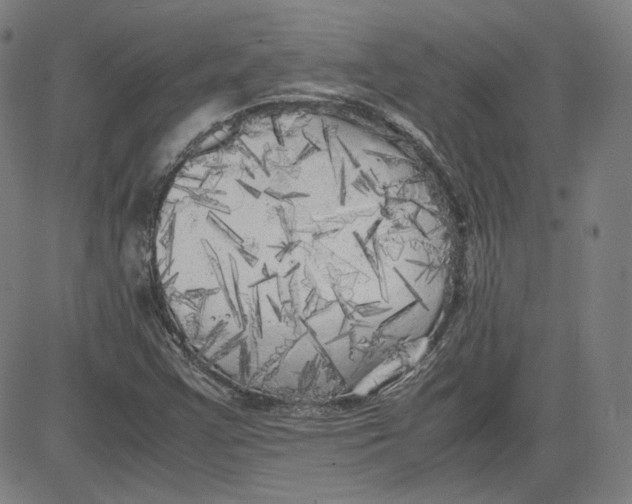 X0000080701355200701050934