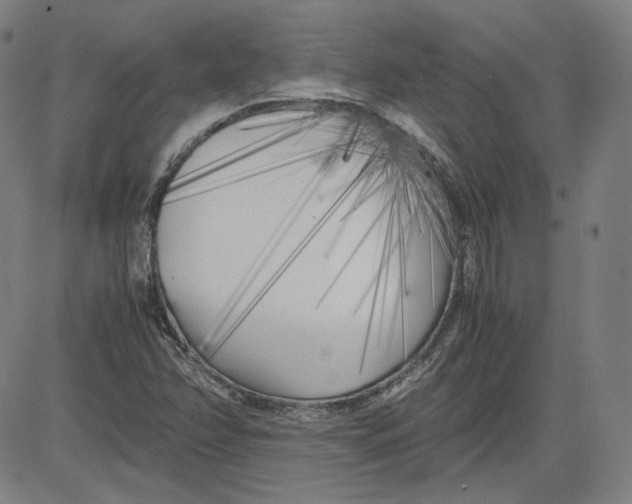 X0000080701358200701050934