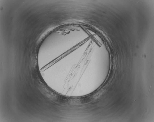 X0000080701363200701050934