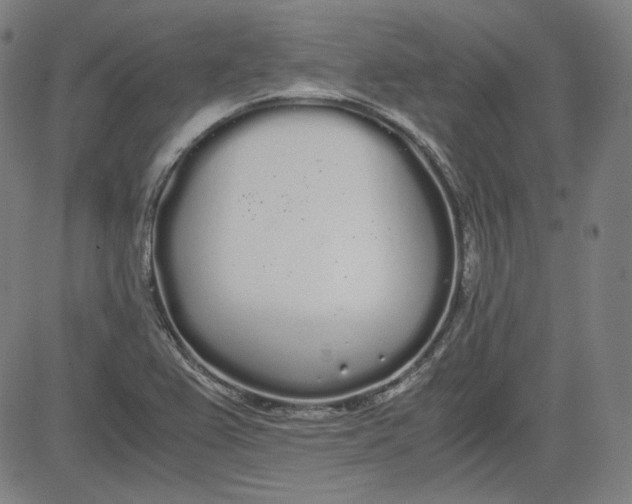 X0000080701367200701050934