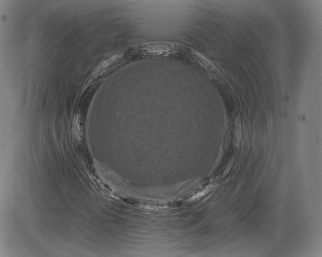 X0000080701394200701050933