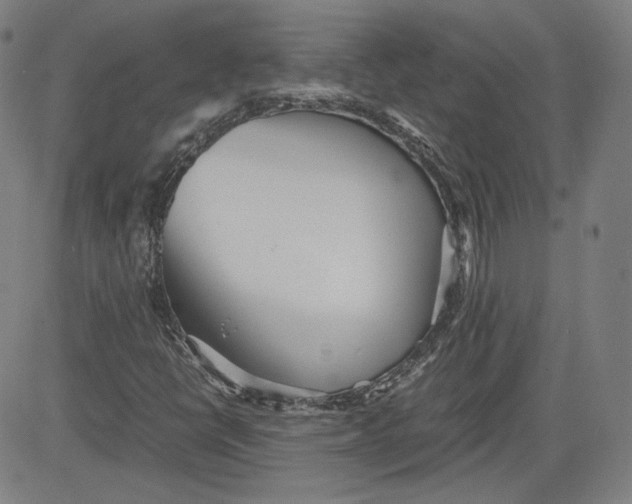 X0000080701398200701050933