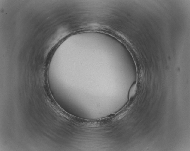 X0000080701410200701050933