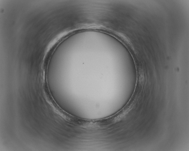 X0000080701414200701050933