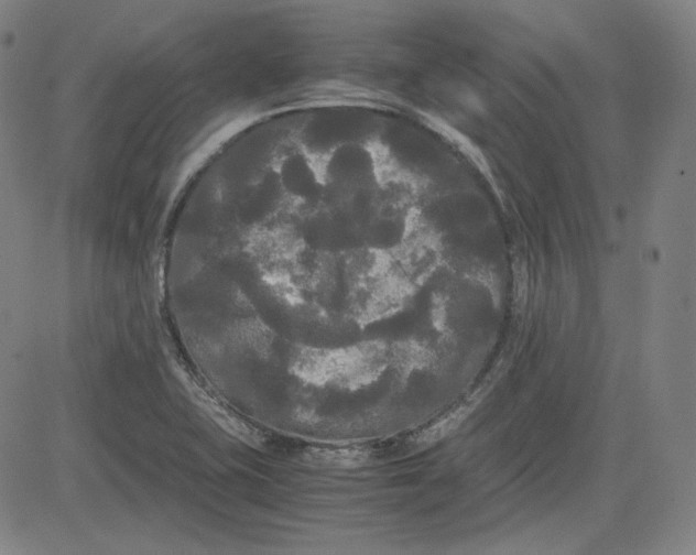 X0000080701415200701050933