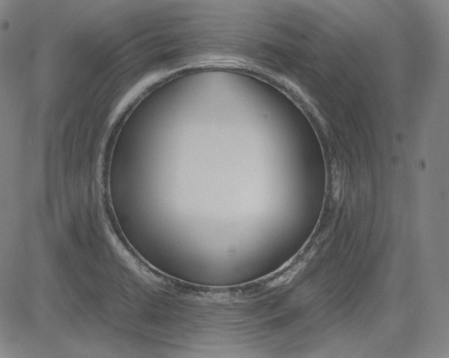 X0000080701422200701050933