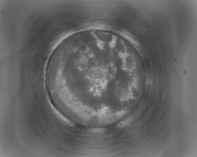 X0000080701423200701050933