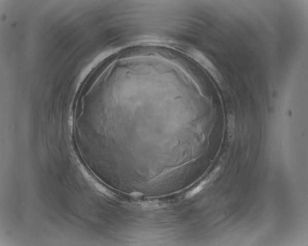 X0000080701428200701050933