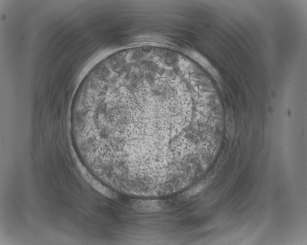 X0000080701431200701050933