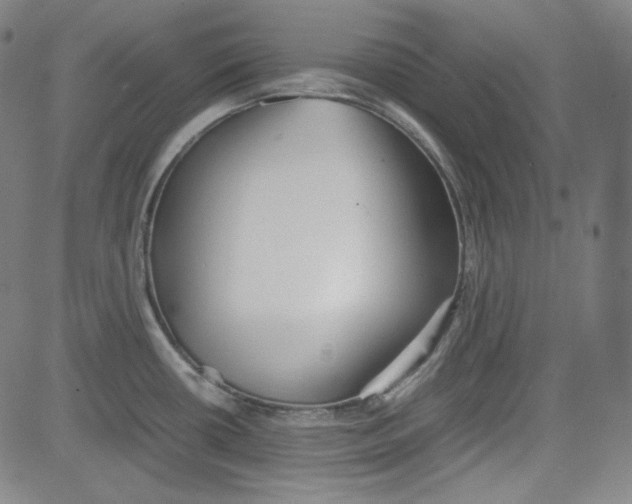 X0000080701434200701050933