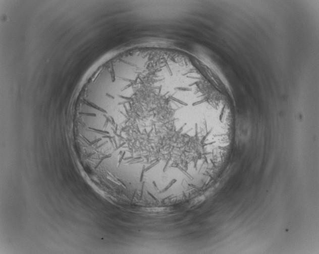 X0000080701437200701050934