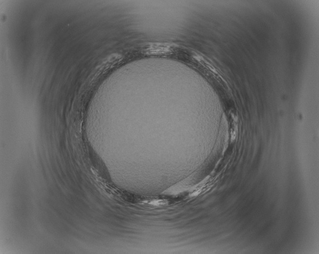 X0000080701441200701050933