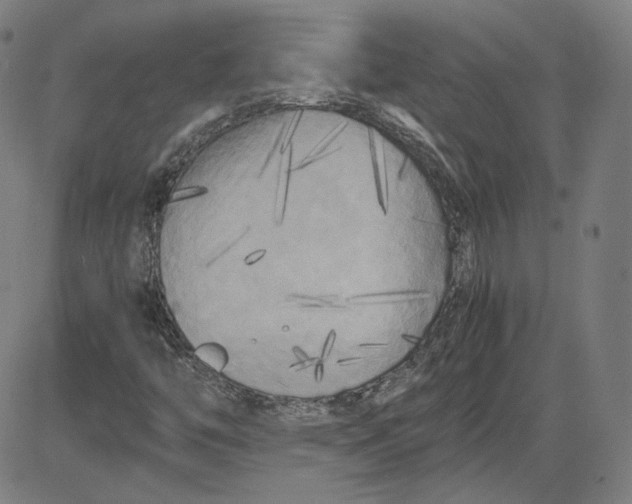X0000080701446200701050933
