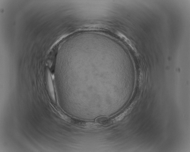 X0000080701449200701050933