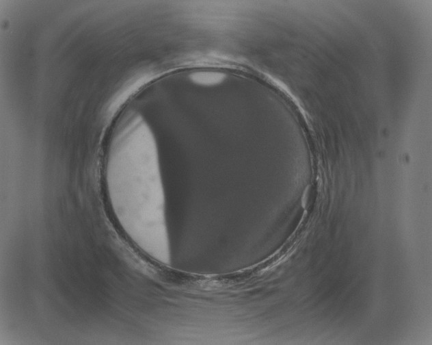X0000080701463200701050932