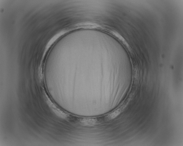 X0000080701466200701050932