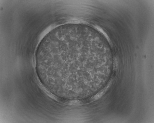 X0000080701467200701050932
