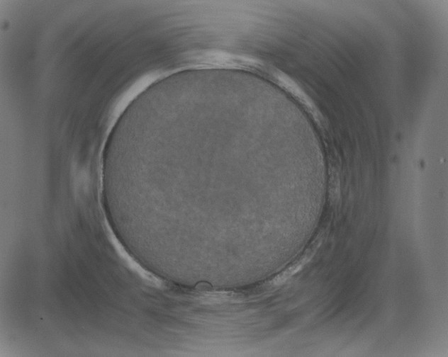 X0000080701479200701050932