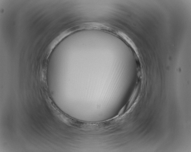 X0000080701481200701050932