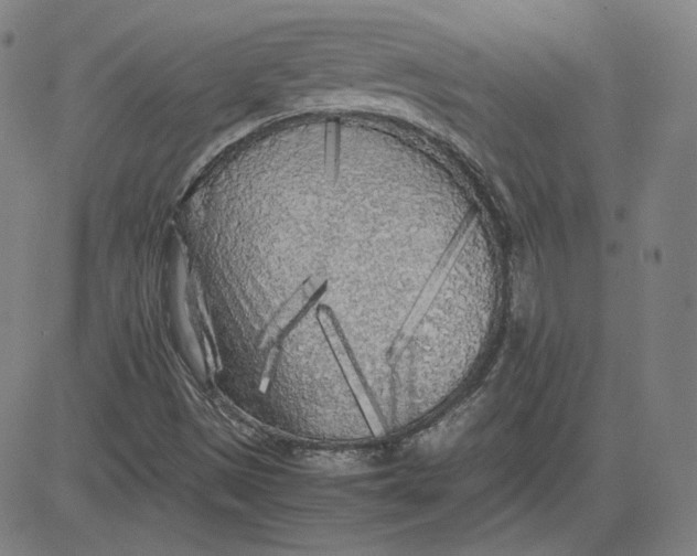 X0000080701497200701050931