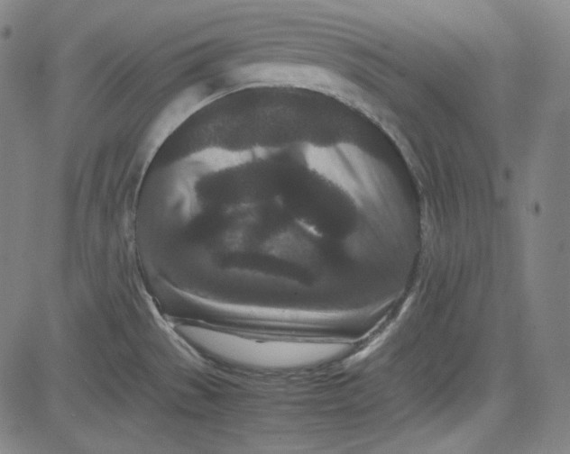 X0000080701529200701050932