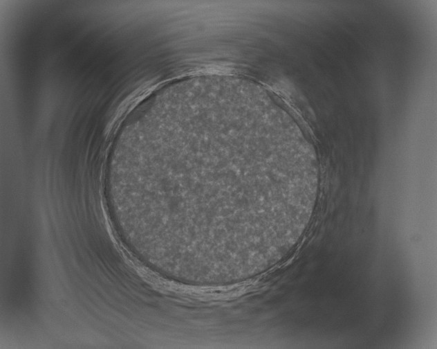 X0000080700001200701121803